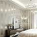 Produktbild LFNRR hoher Qualität einfach und modern Vliestapeten Schlafzimmer Wohnzimmer Sofa TV Hintergrund Wand solid gold silber schwarz und Weiß horizontal gestreifte Tapete Meter lang und 9,5 Meter breit und 0,53 m, 11083