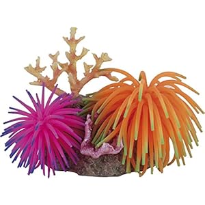 Haquoss Reef Fantasy 8, 12.5x 8.5x 11h cm