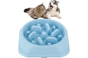 PAWSAYES Slow Feeder Dog Bowl, Labyrinth Design Slow Feeder Pet Dog Bowls Small Slow Eating Dog Food Bowls Maze Dog Puppies Slow Feeder Bowl Light Blue