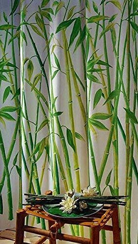 Leguana Handels GmbH Cortina de Ducha bañera Cortina bambú diseño Bamboo en Medidas 180 x 180 cm