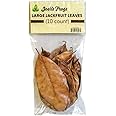 Josh's Frogs Large Jackfruit Leaves (10 Count)