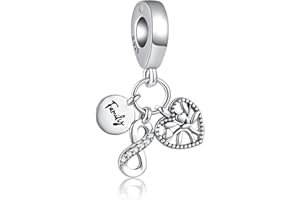 Alstiva Family Friendship Love 925 Sterling Silver 5A Cubic Zirconia Charm Pendant for Bracelet, Charm Bead for European Bracelets, Necklaces, Jewellery Gift for Women