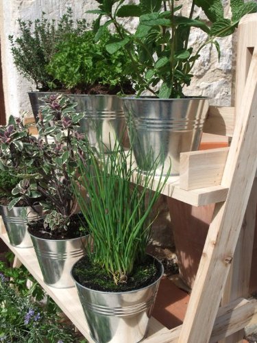 Plant Theatre – Das Zinktopf-Set, der perfekte Begleiter für das Plant Theatre - 4