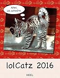 lolCatz 2016 by