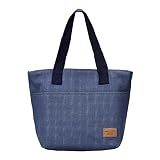  STRIR Bolsa Isotermica de Almuerzo Nevera para Alimentos Frutas Porta de Comida para Llevar al trabajo y Playa (Azul)