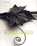 Image de Karl Blossfeldt