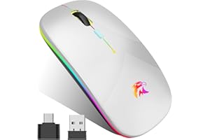HZD Souris Sans Fil Rechargeable, Souris Bluetooth, Souris Rétroéclairée de 7 Couleurs avec Mini récepteur USB de 2,4 GHz, Souris de jeu Bluetooth Compatible PC,Mac,Ordinateur Portable,Chromebook(Argent)