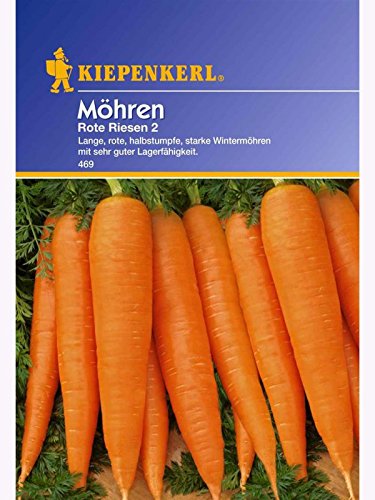 Möhren Rote Riesen2