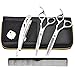 Ayliss 1Set Professional Barber Hair Scissors Cutting & Thinning Scissors Kit 6.0inch,Japanese StainlessSteel Shear,#2