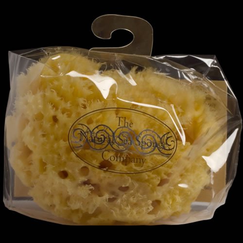 Luxurious Honeycomb Natural Sea Sponge (6.5-7")