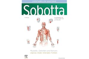 Sobotta Lerntabellen Anatomie Muskeln, Gelenke und Nerven: Ursprung – Ansatz – Innervation – Funktion (VORKLINIK - Lehrbuch - Urban & Fischer-Verlag)