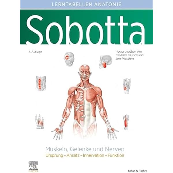 健康・医学 Sobotta Malbuch Anatomie Amazon.co.jp: Sobotta Malbuch Anatomie : 本