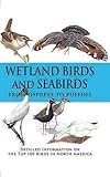 Wetland Birds and Seabirds Wetland Birds and Seabirds