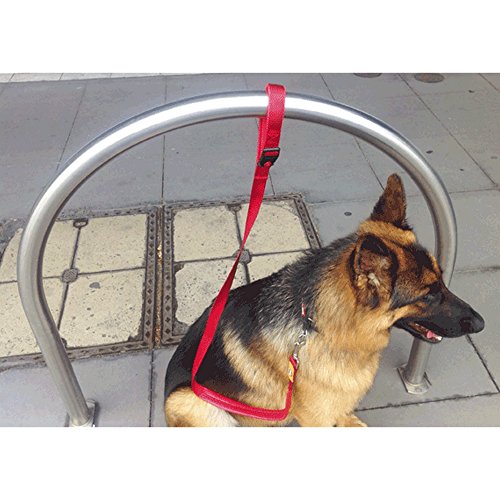 Canny Plomo Connect Azul 25 mm x120 cm