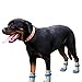 Produktbild DAYOLY 4 Pet Hund Socken Schuhe Rutschfest Wasserdicht Weich Warm Pfotenschutz Boots für Kleine Katzen Hunde Welpen Kätzchen