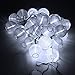 Produktbild MASUNN Solar Powered 30LED Fairy String Light White Shell Lantern Xmas Hochzeit Garten Lampe-weiß