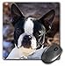 Produktbild Wasserspeier Boston Terrier Hund – NA02 pwo0017 – piperanne Worcester – Maus Pad, 8 von 20,3 cm (MP _ 140275 Duschvorhang _ 1)