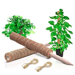 Garden Art Imported Moss Stick, Coir Pole for Plants(Pack of 1) Monstera, Coco Coir Moss Poles for Climbing Plants- Plant Support Extension to Grow Upwards (15.70 in, Pack of 1)