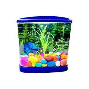 PODDAR RETAIL Single Mini House Betta Fish Tank Aquarium Isolation Box for Fighter Fish,Multicolour with Inbuilt Led Light,Acrylic Plastic