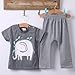 Baby Boys Short Sleeve Elephant T-Shirt and Striped Pants Outfit