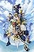 Produktbild bribase shop Kingdom Hearts 2 3 Sora Organisation XIII 13 Nice Seide Stoff Wand Poster Print (50,8 x 33 cm)
