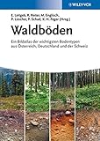 Image de Waldböden: Ein Bildatlas der wichtigsten Bodentypen aus Österreich, Deutschland und der Schweiz