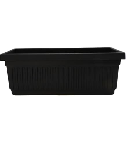 Terra Roma Pflanzkasten Mit Sichtfenster Von HC Companies | 60 Cm, Kunststoff, Für Drinnen & Draußen