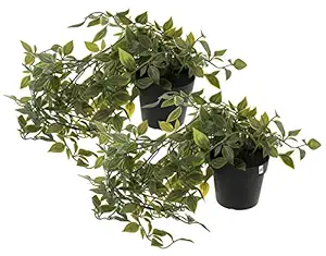 Fun Homes Mini Plastic Potted Vine Plant for Home Office Decoration, Plastic Vine with Black Plastic Pots, Fake Plant for Bathroom D