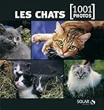 Les chats en 1001 photos NE