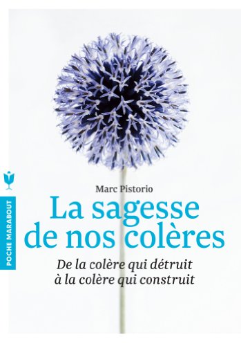 Télécharger La sagesse de nos colères: De la colère qui détruit à la colère qui construit PDF Fichier Télécharger La sagesse de nos colères: De la colère qui détruit à la colère qui construit PDF Fichier