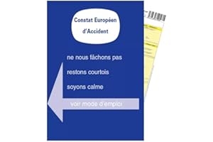 Maelsa® - 4 CONSTATS EUROPÉEN D'ACCIDENT Amiable AGRÉÉ pour ASSURANCES France ET Europe - QUANTITE AU Choix (4)