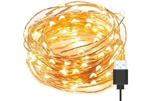 AAN USB Powered Fairy LED Lights Indoor Decorative String Lights Waterproof Copper Wire Firefly Lights for Jars, Christmas Tree Decoration, Birthday Party and More Warm White (5M/16Ft. 50 LEDs)