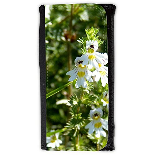 Preisvergleich Produktbild Portemonnaie Geldbörse Brieftasche / / M00292129 Eyebright Euphrasia officinalis Blume / / Large Size Wallet