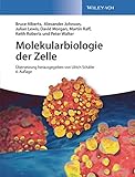 Image de Molekularbiologie der Zelle