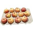 Gardening Naturally Apple Tray Crop Storage Apples Biodegradable (10)