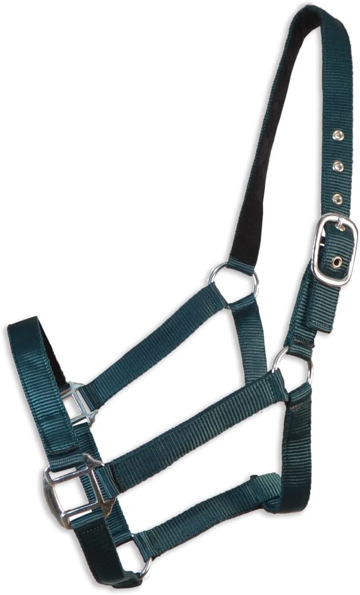 Cabezada cuadra Eco | Talla PONY | Color Verde | Equipamiento para el caballo | Producto de Guarnicionería | Tradición artesana | Los Nietos