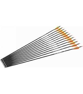 BICASTER Bogenschießen Set - Magnetischer Kolben & Pfeilauflage Für Recurvebögen