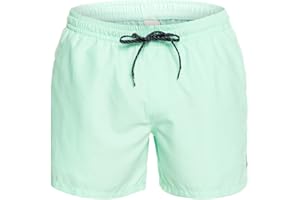 'Quiksilver Everyday 15'' - Swim Shorts for Men'