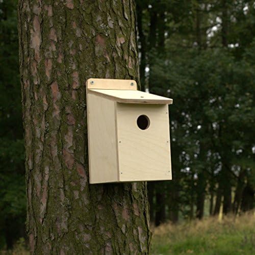 Nestbox CoWooden Bird Box Self Assembly DIY Kit with 32mm Entrance Hole