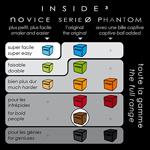 Vicious0 labyrinth (INSIDE3)