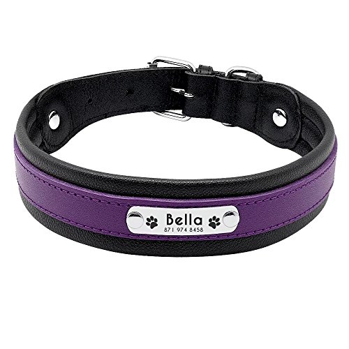 Pet Artiststudded Purple Leather Dog Collar With Name Plate