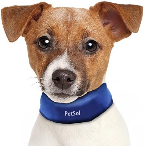 PetSol Dog Cooling Collar, 100% Non-Toxic Material, Relieves Heat Stress - Stays Cool for Hours (Blue, Medium)
