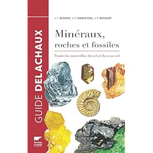 Minéraux, roches et fossiles. Toutes les merveilles du sol et du sous-sol Livre en Ligne - Telecharger Ebook