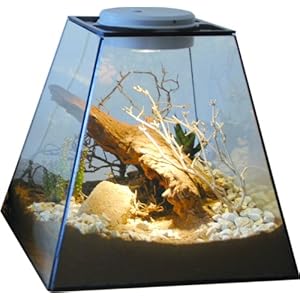 Lucky Reptile LP-30 Life Pyramid 30 mit Light Halogen