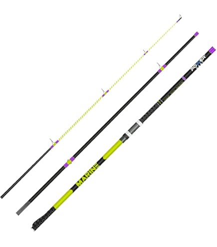 Canne Surfcasting Daiwa Crosscast 4,2m | Puissance 100-225g | Action Rapide | Pour Pêche En Mer