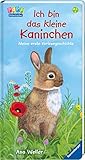 Ich bin das kleine Kaninchen: Meine erste Vorlesegeschichte by Hannelore Dierks, Ana Weller