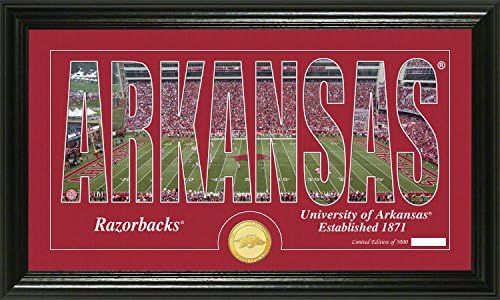 Highland Mint The University of Arkansas Silhouette Coin Panoramic Photo Mint, Bronze, 22" x 15" x 4"