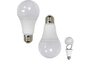 Gwezmxs Schlüssel Versteck Draußen, Geheimversteck, Geheimfach Safe in Glühbirnenform, Key Hider, 6x12cm, 2 Stück