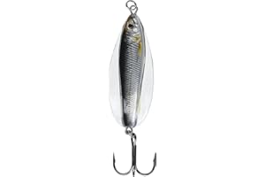 LIVE TARGET Live Target Fishing Tackle Lures Erratic Shiner Casting Silver Multicolored One Size ' Ess Sk