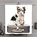 Produktbild Duschvorhang 270440549 Biewer Yorkshire Terrier und Bengal Katze sitzend auf einer bag. isoliert auf weiß Polyester-Hintergrund-Bad Vorhang